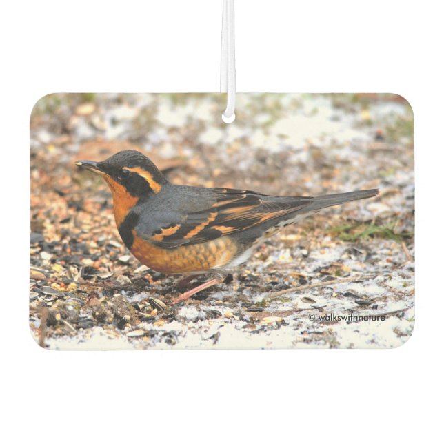 Schöner Varieté-Songbird im Schnee Autolufterfrischer (Vorderseite)
