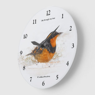 Schöner Varieté-Songbird im Schnee Große Wanduhr