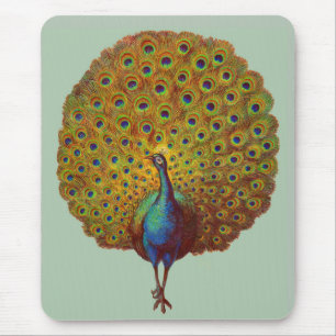 schöner Viktorianischer Pfauendruck Mousepad
