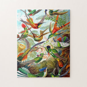 Schöner Vintage-Druck Kolibri-Vogelpuzzle
