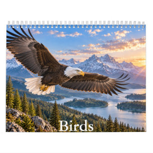 Schöner Vögel Szenarien Naturkalender Kalender