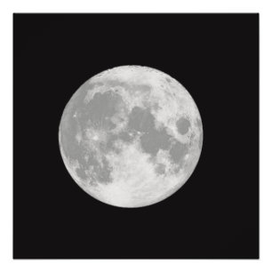 Schöner Vollmond auf Schwarzem Poster