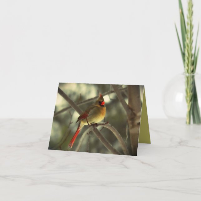 Schöner weiblicher Kardinals-Vogel Karte (Vorderseite)