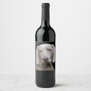 Schöner Weimaraner Jagdhund Weinetikett