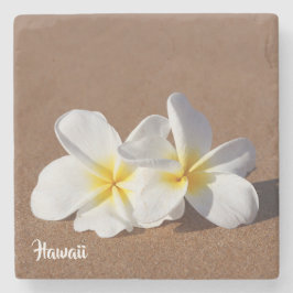 Schöner weißer hawaiischer Plumeria-Untersetzer Steinuntersetzer