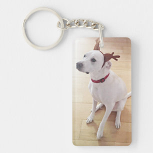 Schöner weißer Rentier Welpenhund Weihnachten Red Schlüsselanhänger