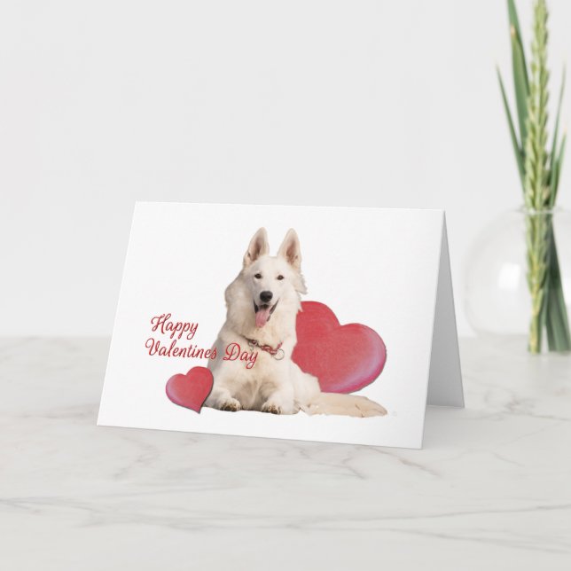 Schöner weißer Schäfer Valentinstag Karte (Vorderseite)