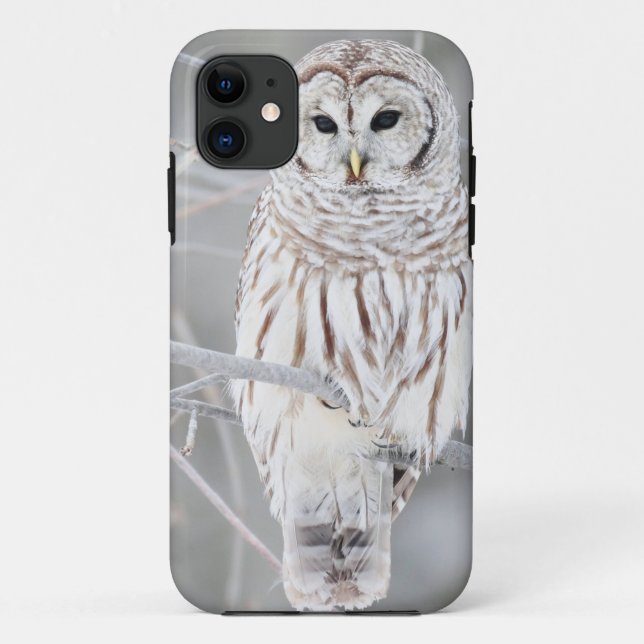 Schöner weißer Schnee-Eulen-Entwurf Case-Mate iPhone Hülle (Rückseite)
