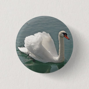 Schöner weißer Schwan Button