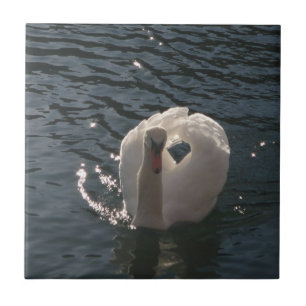 Schöner weißer Schwan Fliese