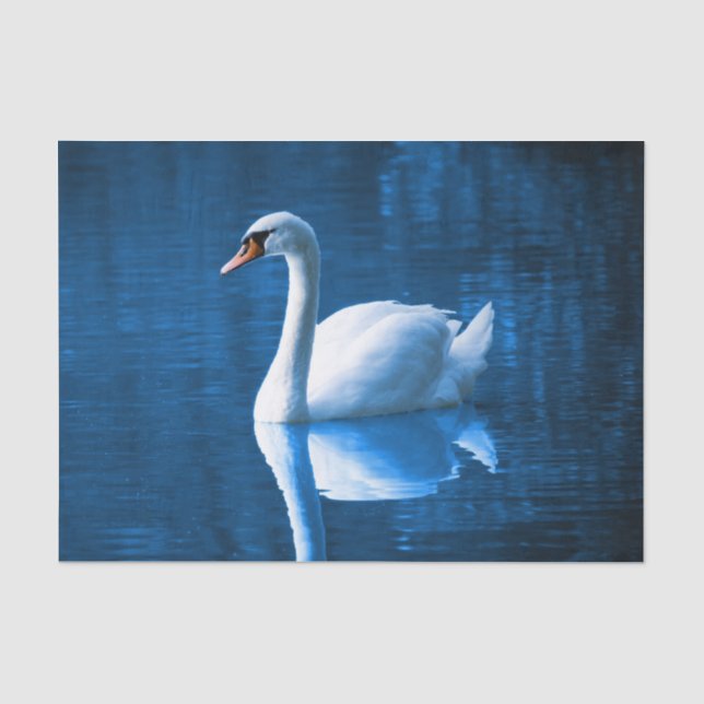 Schöner weißer Schwan im Wasser Seidenpapier (Vorderseite)