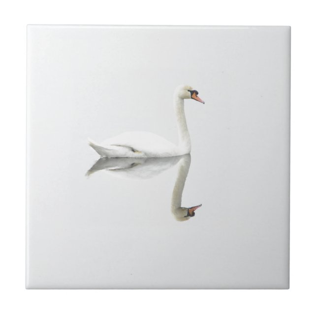 Schöner weißer Schwan im Wasserspiegelbild Fliese (Vorderseite)