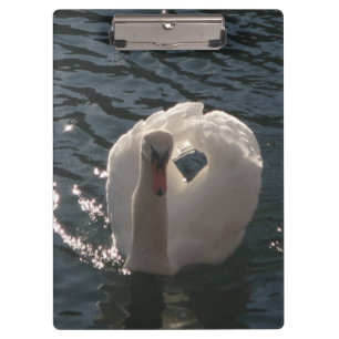 Schöner weißer Schwan Klemmbrett