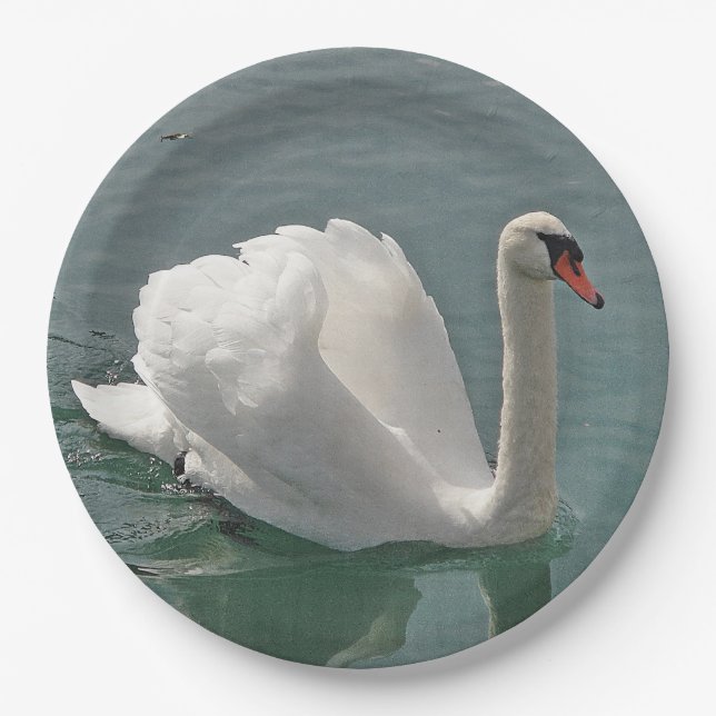 Schöner weißer Schwan Pappteller (Vorderseite)