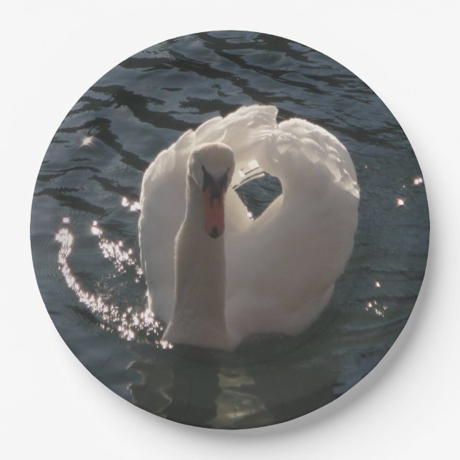 Schöner weißer Schwan Pappteller (Vorderseite)