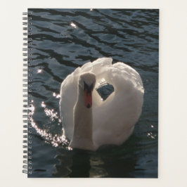 Schöner weißer Schwan Planer