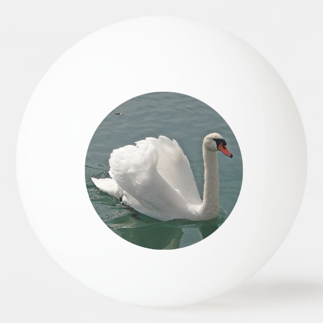 Schöner weißer Schwan Tischtennisball (Vorderseite)