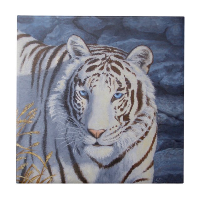 Schöner weißer Tiger mit kristallblauen Augen Fliese (Vorderseite)