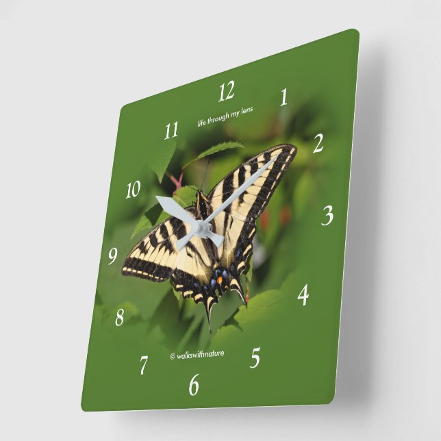 Schöner Western Tiger Frack Butterfly Quadratische Wanduhr (Winkel)