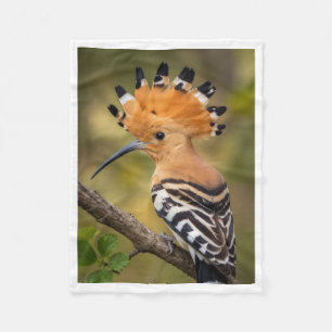Schöner Wiedehopf-Vogel-Decke Fleecedecke