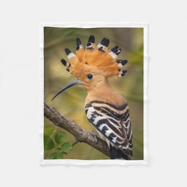 Schöner Wiedehopf-Vogel-Decke Fleecedecke (Vorderseite)