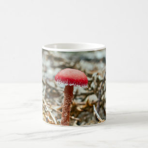 Schöner Wildpilz auf einem Herbstfeld Kaffeetasse