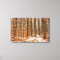 Schöner Winterwald mit Schnee