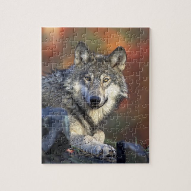 Schöner Wolf (Vertikal)
