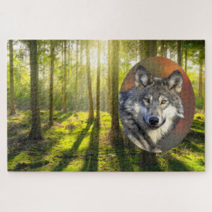 Schöner Wolf- und Sonnenaufgangswald