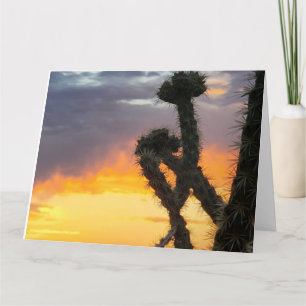 Schöner Wüstenkaktus Sunrise Karte