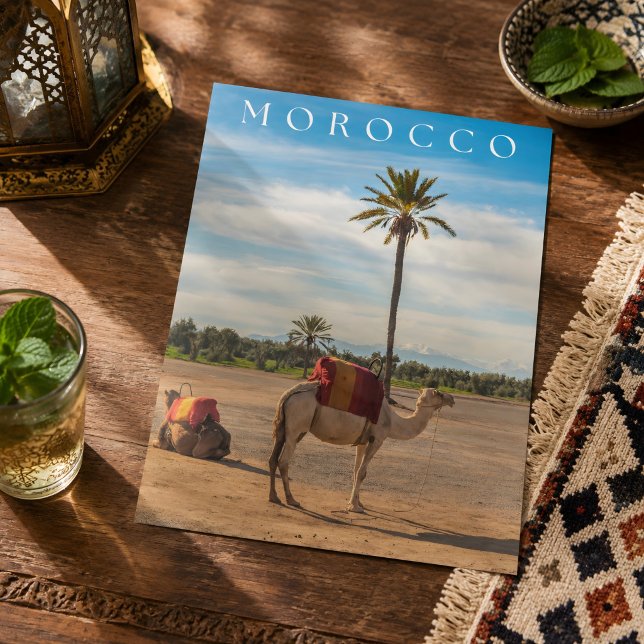 Schönes Abenteuer in der Camel-Wüste von Marrakech Postkarte (Von Creator hochgeladen)