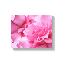 Schönes abstraktes hübsch rosa Rosa Moderne Blüte