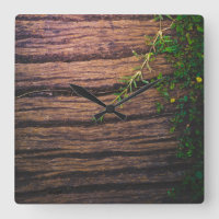 schönes altes Holz