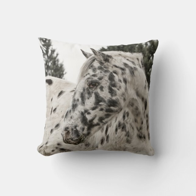 Schönes Appaloosa Pferd, Western Kissen (Vorderseite)