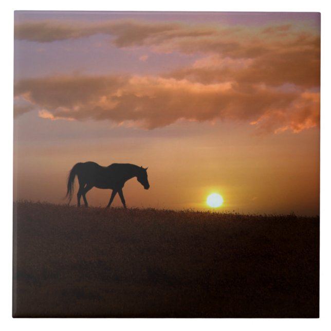 Schönes Arabisches Pferd und Sonnenaufgang Kunst,  Fliese (Vorderseite)