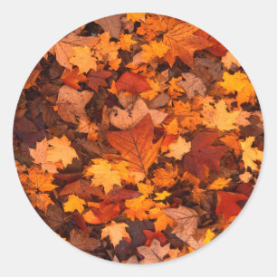 Schönes Autum Foliage Design. Runder Aufkleber