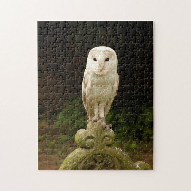 Schönes Barn Owl Puzzle/Jigsaw (Vertikal)