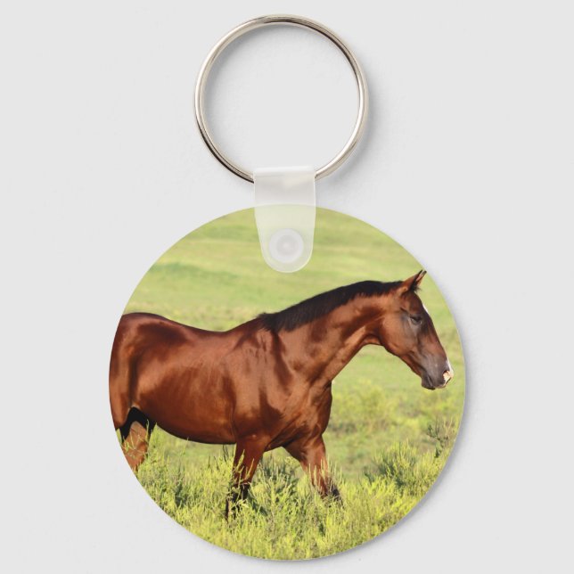Schönes Bay Horse Schlüsselanhänger (Vorderseite)