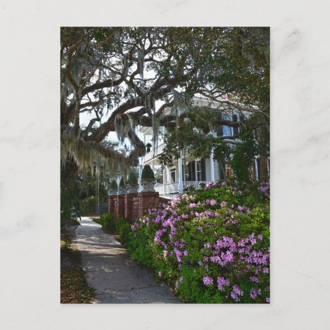 Schönes Beaufort, South Carolina Postkarte (Vorderseite)