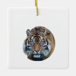 Schönes Bengal-Tiger-Gesichtsfoto Keramikornament
