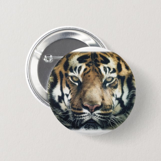 Schönes Bengalisches Tiger Face Foto Button (Vorne & Hinten)