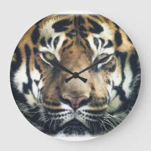 Schönes Bengalisches Tiger Face Foto Große Wanduhr