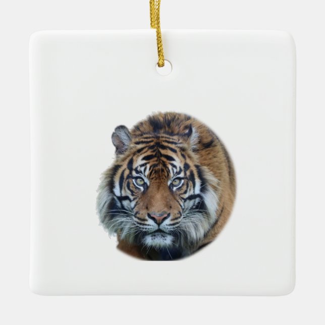 Schönes Bengalisches Tiger Face Foto Keramikornament (Vorderseite)