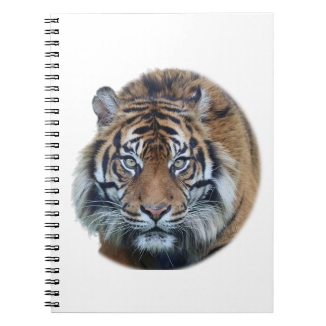Schönes Bengalisches Tiger Face Foto Notizblock (Vorderseite)