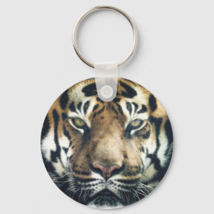 Schönes Bengalisches Tiger Face Foto Schlüsselanhänger