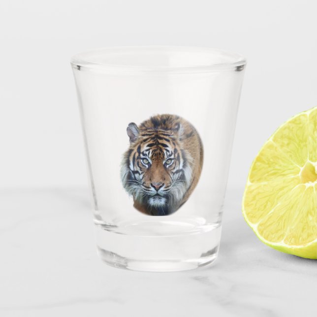 Schönes Bengalisches Tiger Face Foto Schnapsglas (Vorderseite)