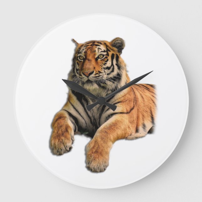 Schönes Bengalisches Tiger-Foto Große Wanduhr (Vorderseite)