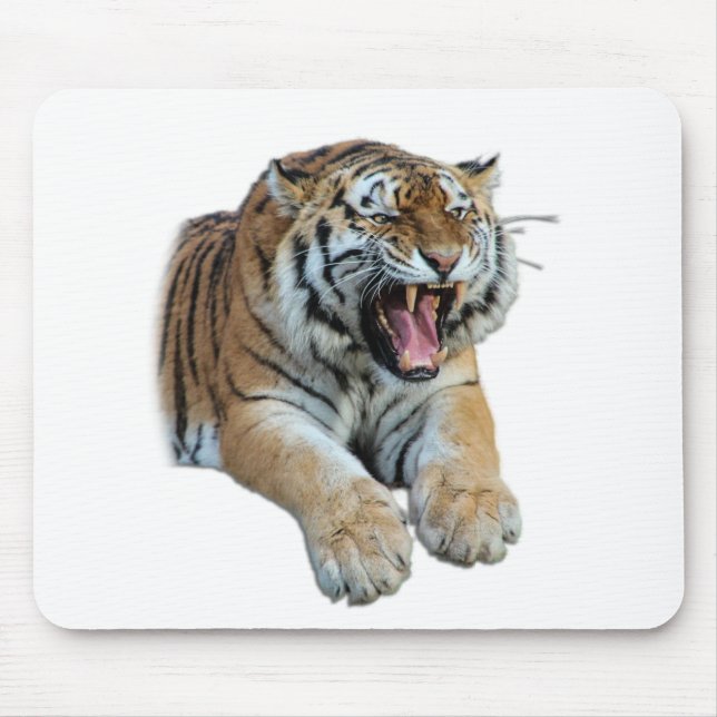 Schönes Bengalisches Tiger-Foto Mousepad (Vorne)