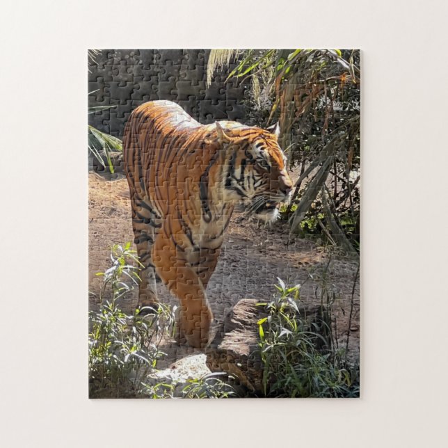 Schönes Bengalisches Tiger Jigsaw Puzzle (Vertikal)