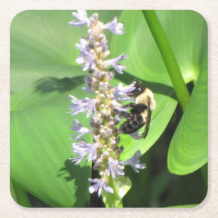 Schönes Bienen-Untersetzer-Set Rechteckiger Pappuntersetzer